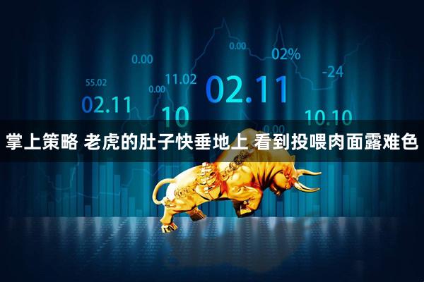 掌上策略 老虎的肚子快垂地上 看到投喂肉面露难色