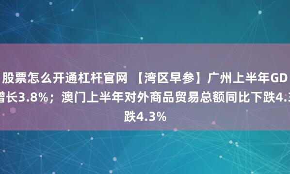 股票怎么开通杠杆官网 【湾区早参】广州上半年GDP增长3.8%；澳门上半年对外商品贸易总额同比下跌4.3%