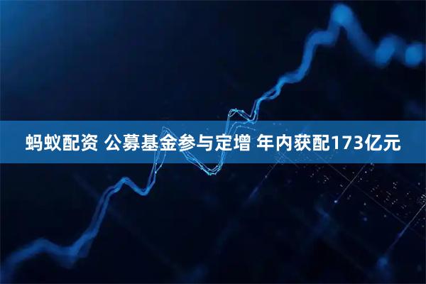 蚂蚁配资 公募基金参与定增 年内获配173亿元